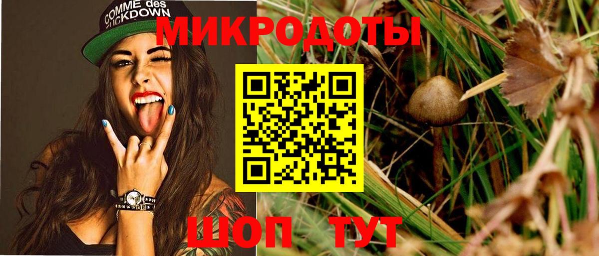 Галлюциногенные грибы GOLDEN TEACHER Знаменск