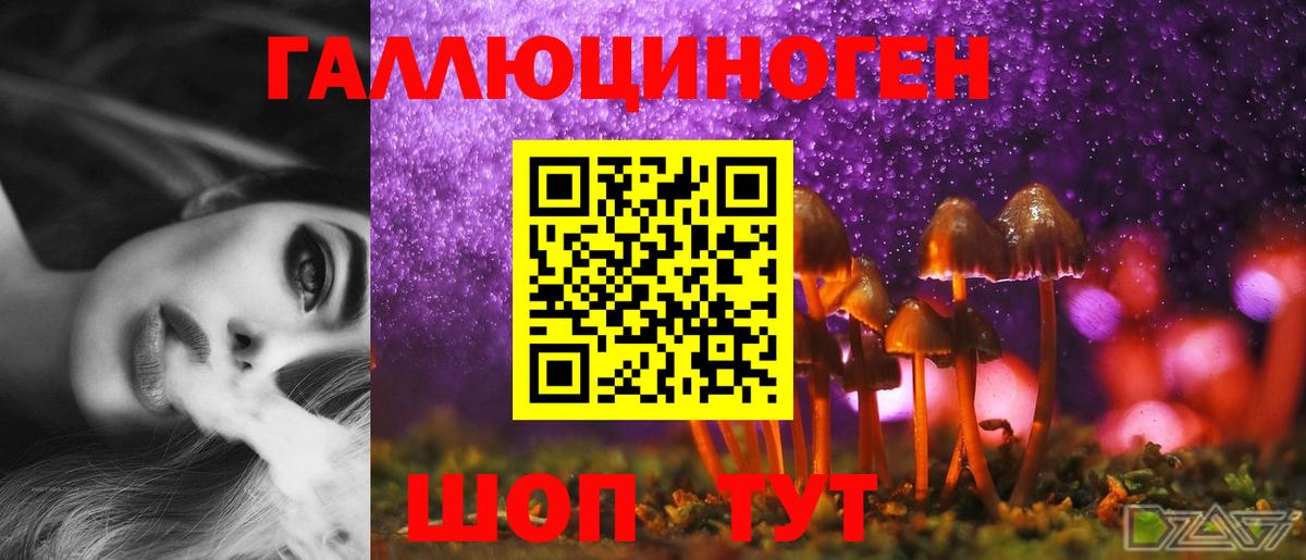 Знаменск  Псилоцибиновые грибы MAGIC MUSHROOMS  Галлюциногенные грибы Magic Shrooms  Вход с VPN 